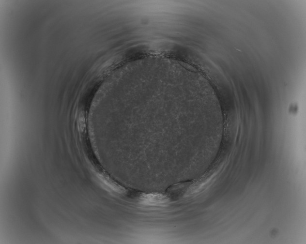 X0000096980137200802291154