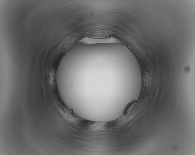 X0000096980138200802291154