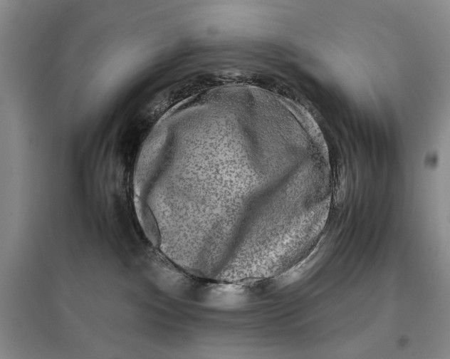 X0000096980140200802291154