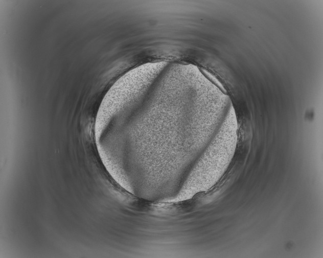 X0000096980141200802291154