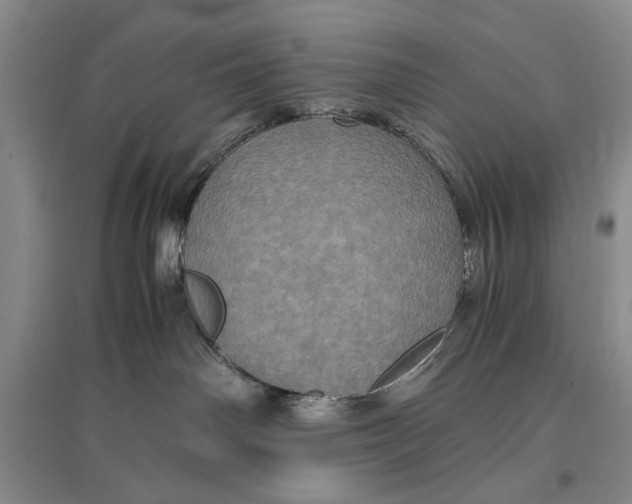 X0000096980142200802291154