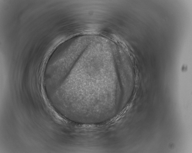 X0000096980145200802291154