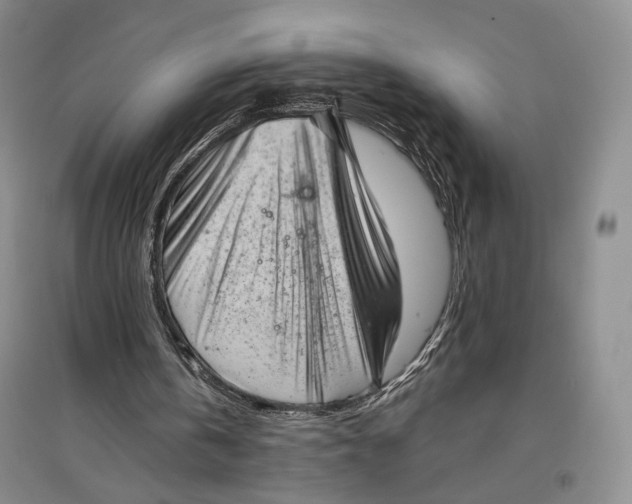 X0000096980146200802291154