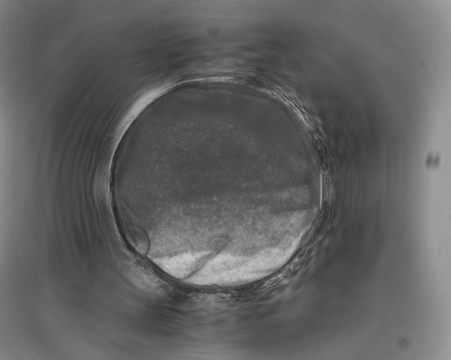 X0000096980147200802291154