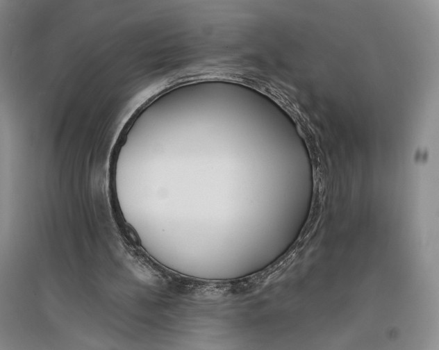 X0000096980148200802291154