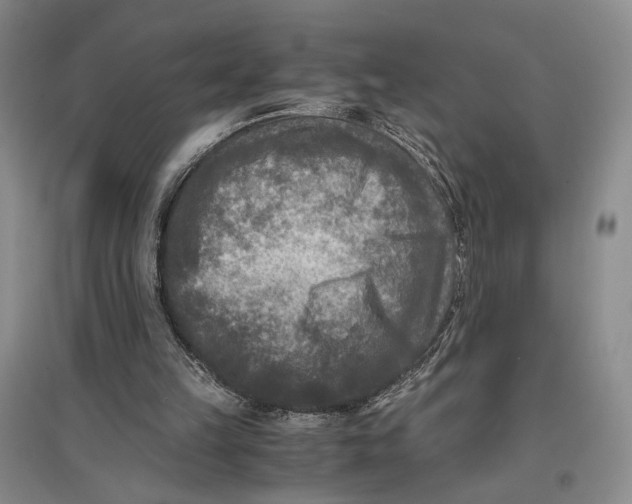 X0000096980149200802291154