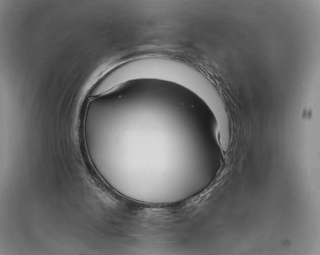 X0000096980150200802291154