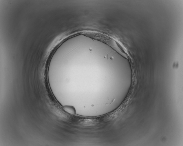 X0000096980151200802291154