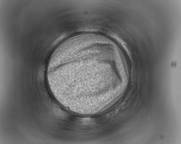 X0000096980153200802291154