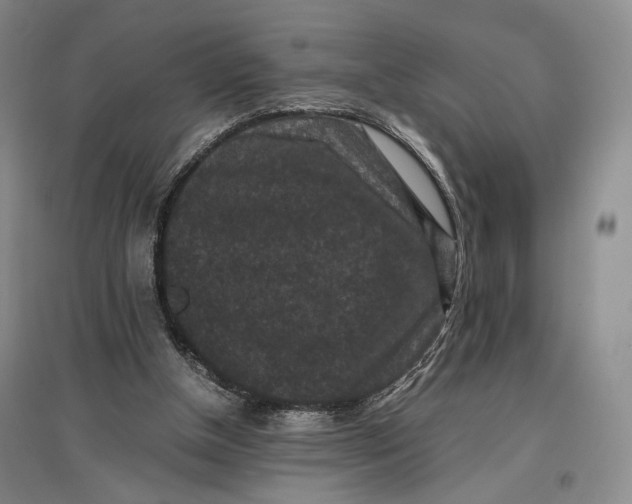 X0000096980154200802291154