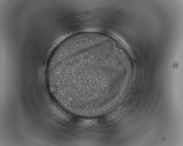 X0000096980155200802291154