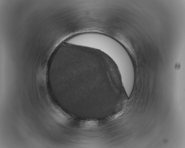 X0000096980156200802291154