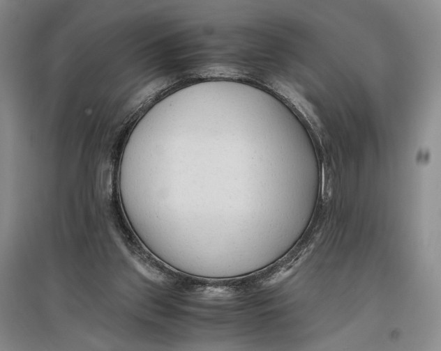 X0000096980157200802291154