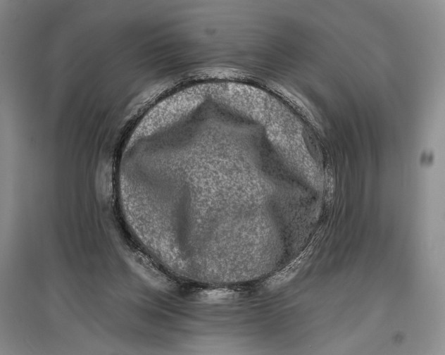 X0000096980158200802291154