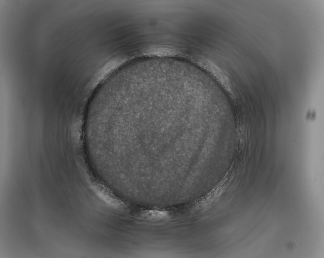 X0000096980159200802291154