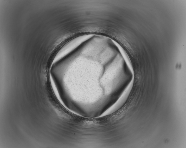 X0000096980160200802291154