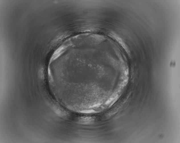 X0000096980161200802291154