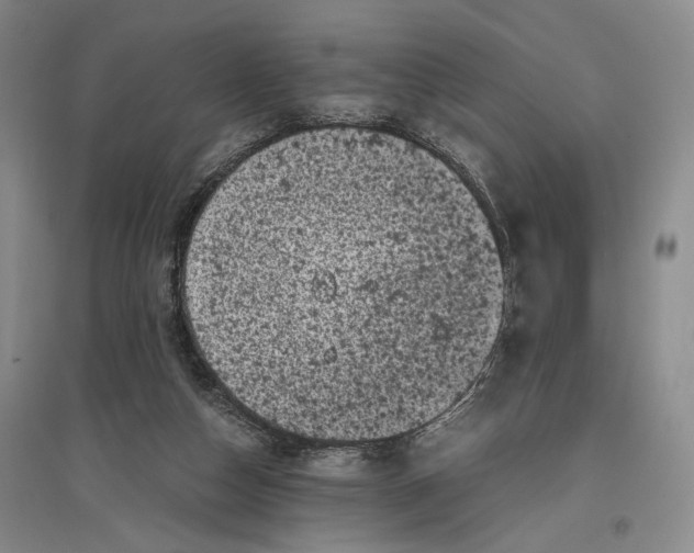 X0000096980162200802291154