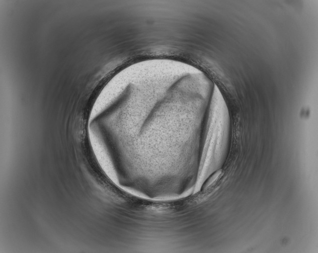 X0000096980164200802291154