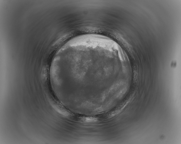 X0000096980165200802291154