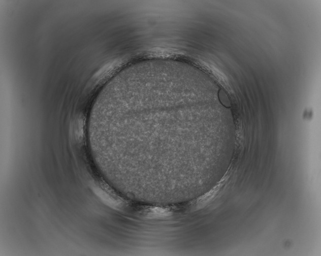 X0000096980166200802291154