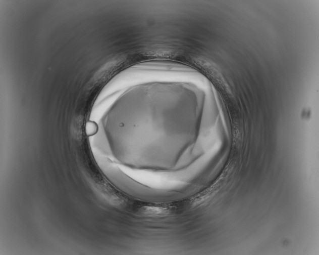 X0000096980167200802291154