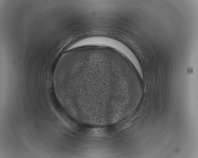 X0000096980168200802291154