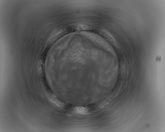 X0000096980169200802291154