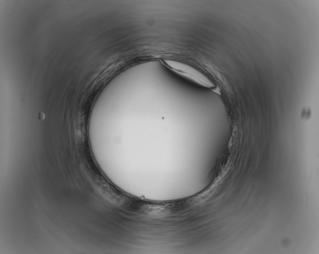 X0000096980170200802291154