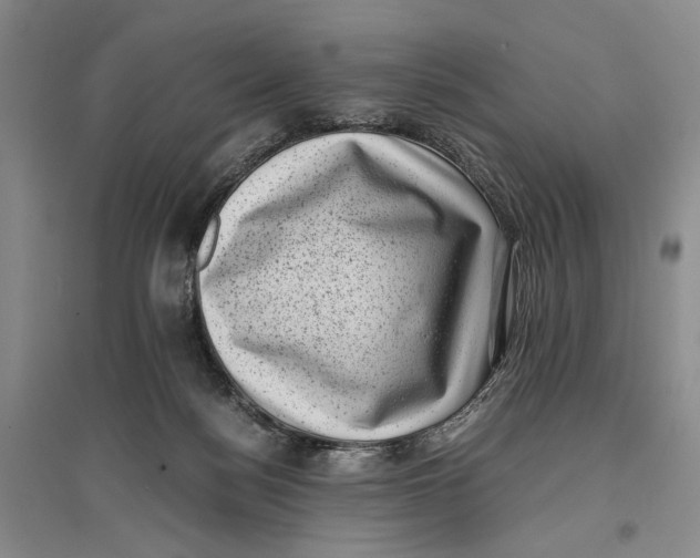 X0000096980172200802291154