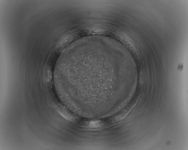 X0000096980173200802291154