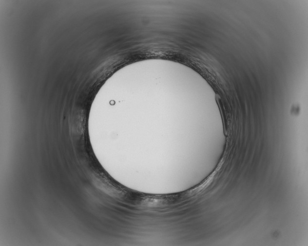 X0000096980174200802291154