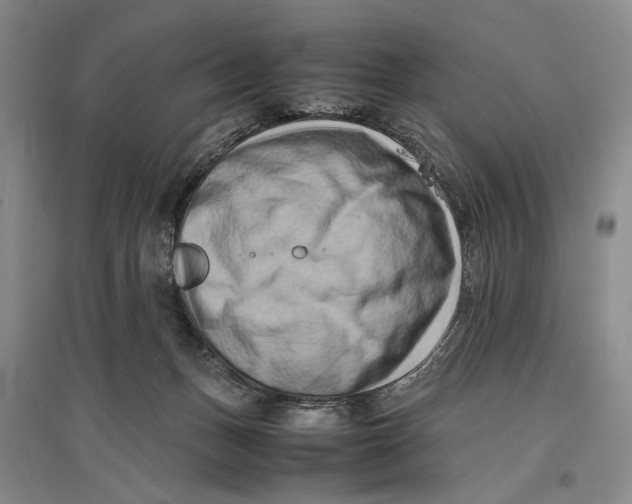 X0000096980175200802291154