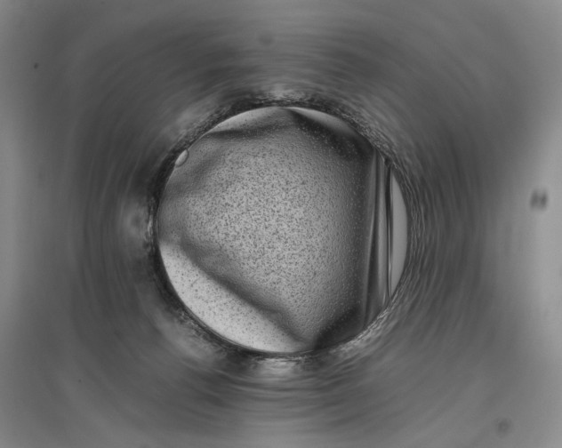 X0000096980176200802291154