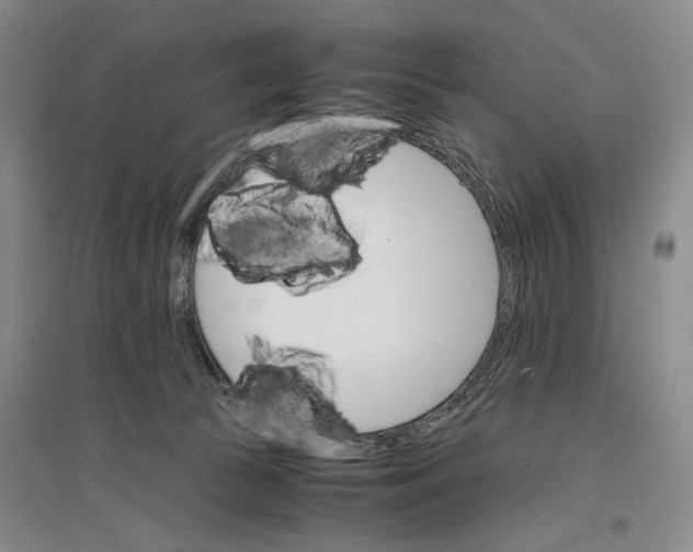 X0000096980177200802291154