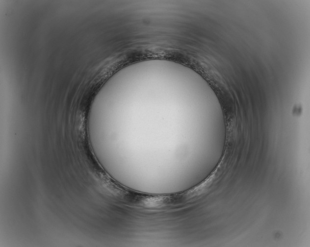 X0000096980178200802291154