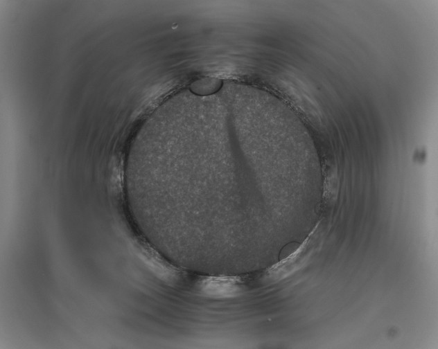 X0000096980179200802291154