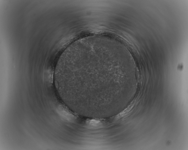 X0000096980180200802291154