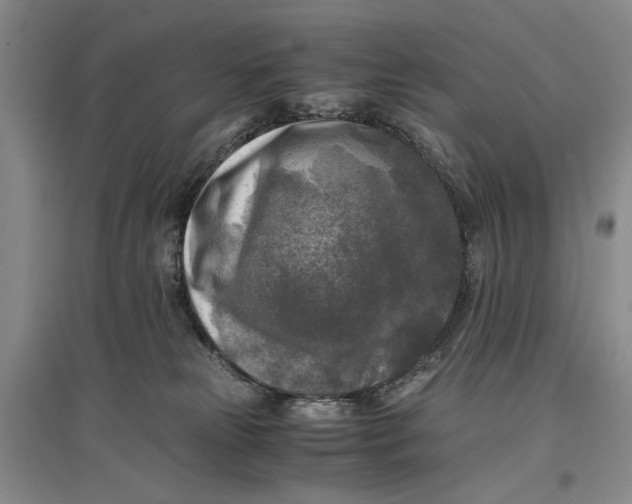 X0000096980181200802291154