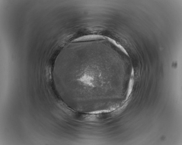 X0000096980182200802291154