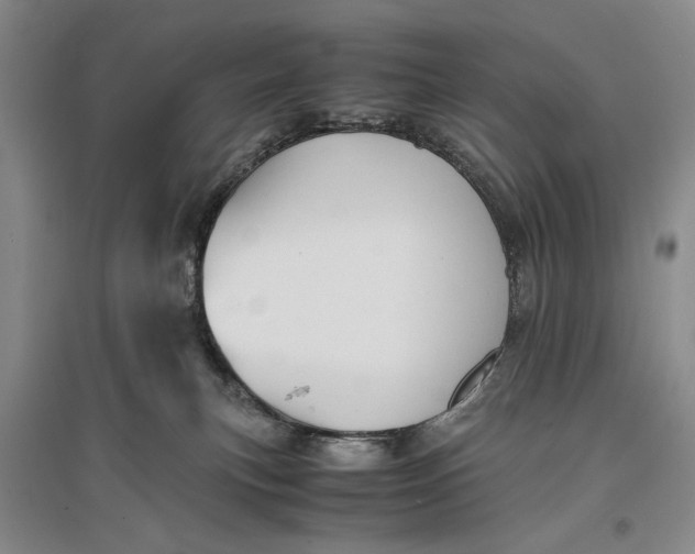 X0000096980183200802291154