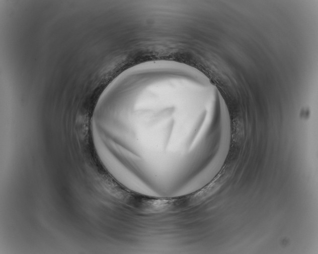 X0000096980184200802291154