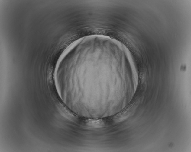 X0000096980185200802291154