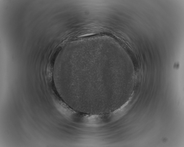 X0000096980186200802291154