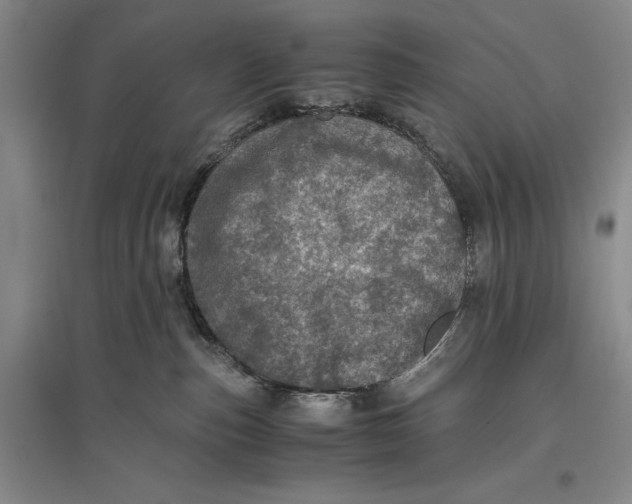 X0000096980187200802291154