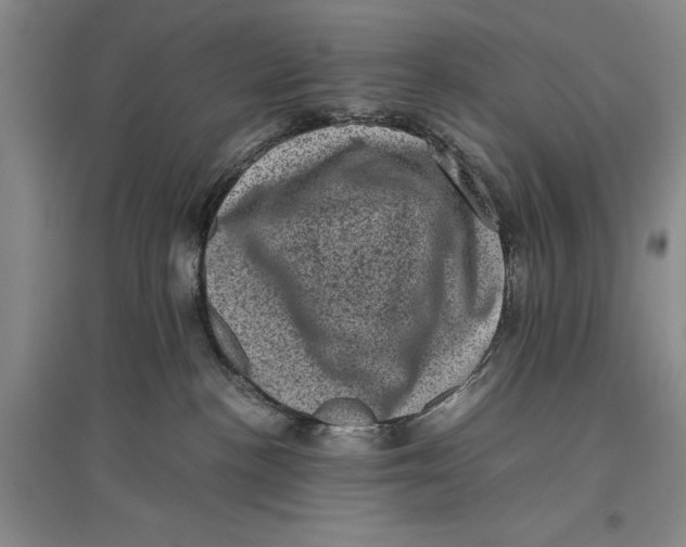 X0000096980188200802291154