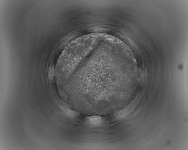 X0000096980189200802291154