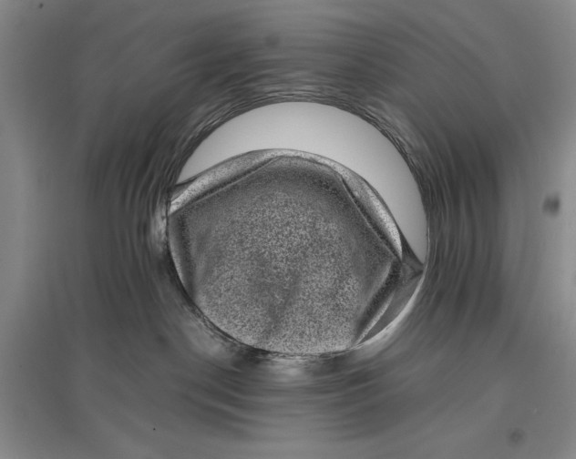 X0000096980190200802291154