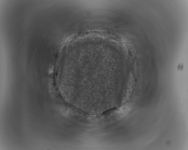 X0000096980192200802291154