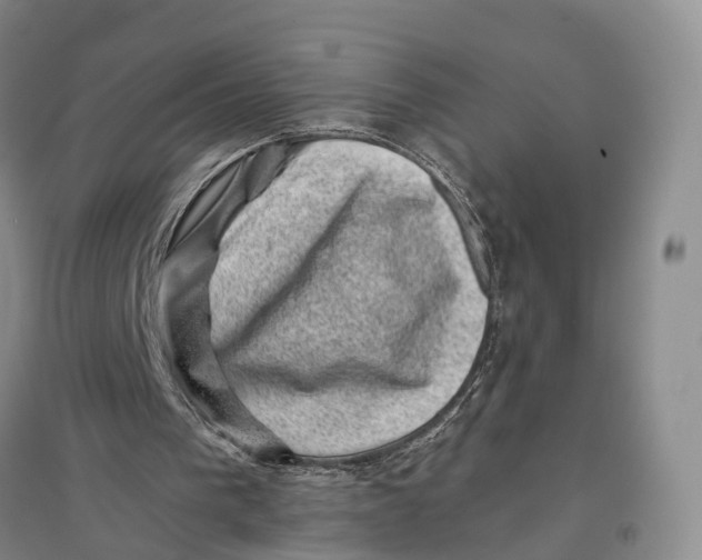 X0000096980193200802291154